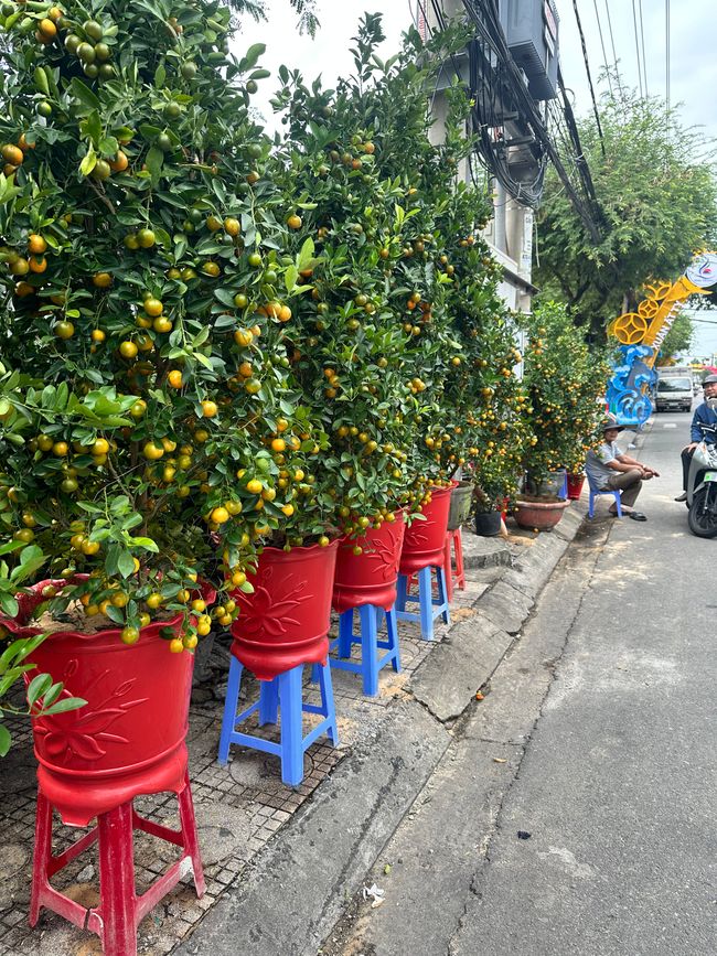 Nha Trang