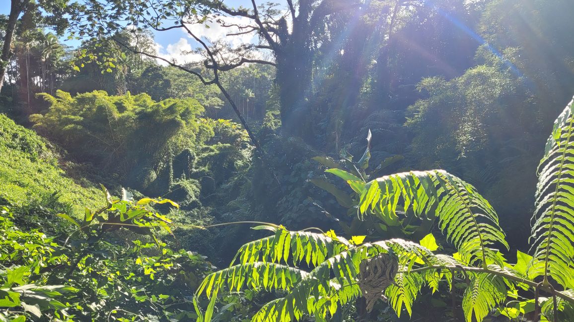 Mauna Kea – the highest mountain in Hawaii – to see or not to see ...