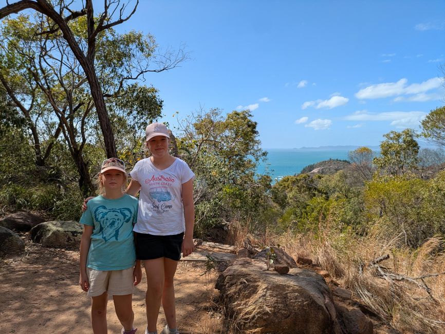 Magnetic Island, Koala und Co.