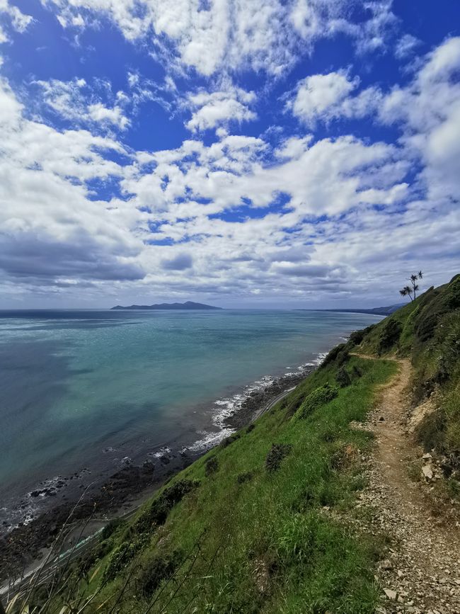 Paekakariki Escarpment Track