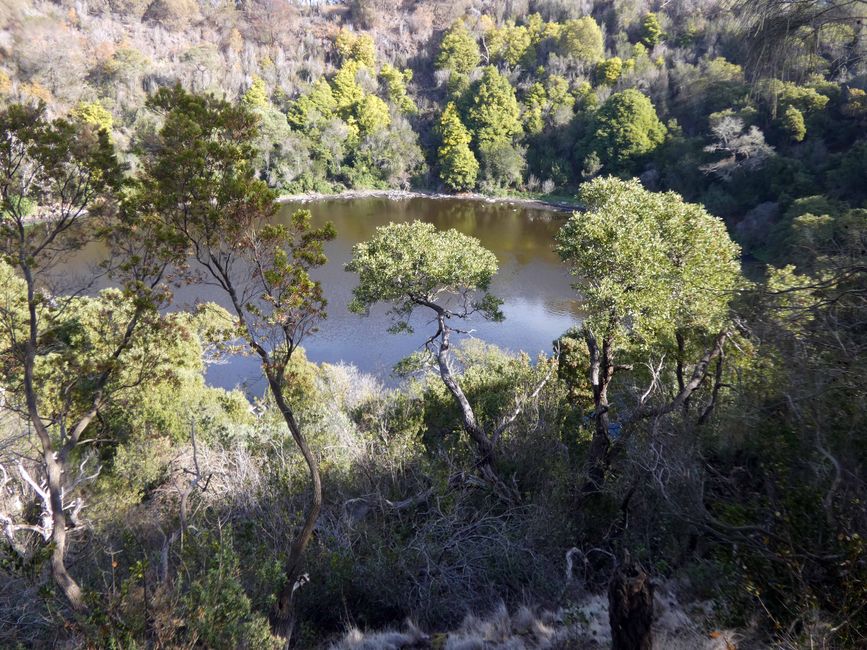 Tower Hill Wildlife Reserve