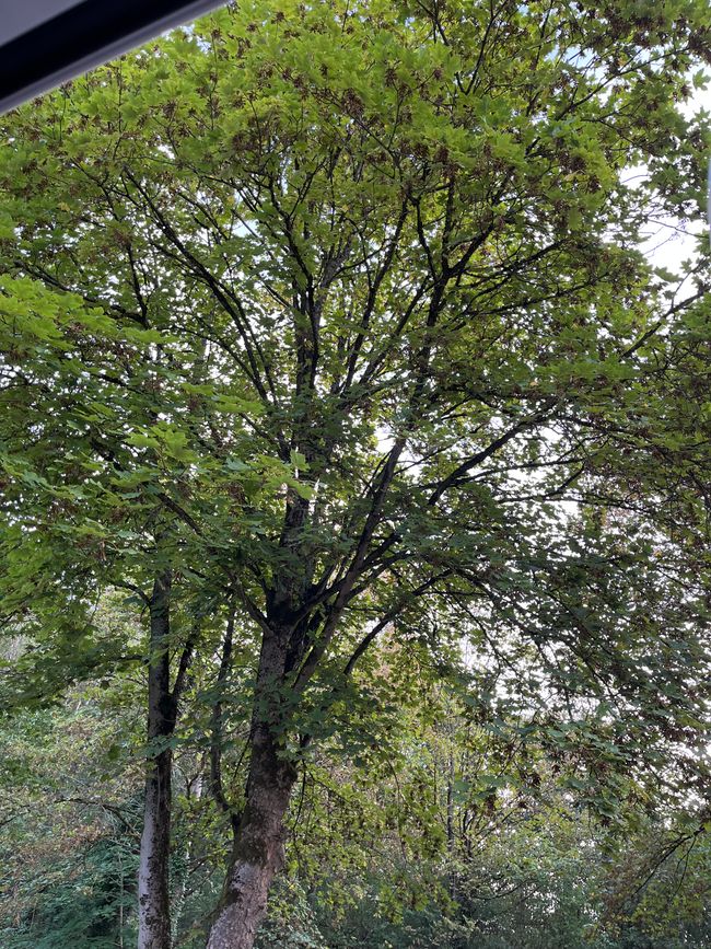 Blick nach dem Aufwachen