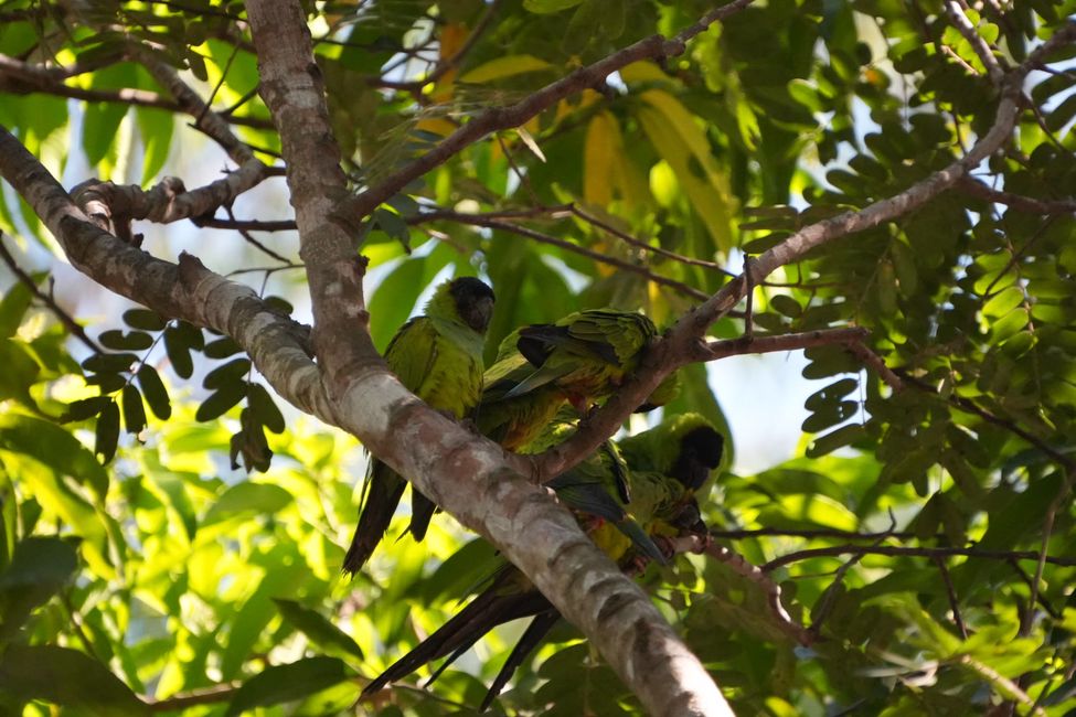 Pousada Rio Claro