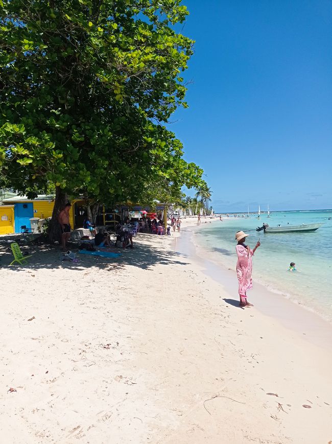 Ausflug nach Grande Terre, die östliche, flache Seite von Guadeloupe