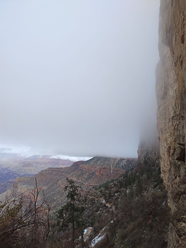 Grand Canyon in the fog