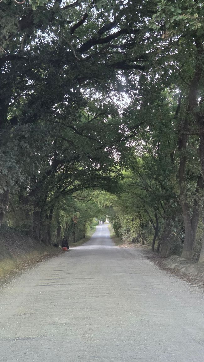Route poussiéreuse