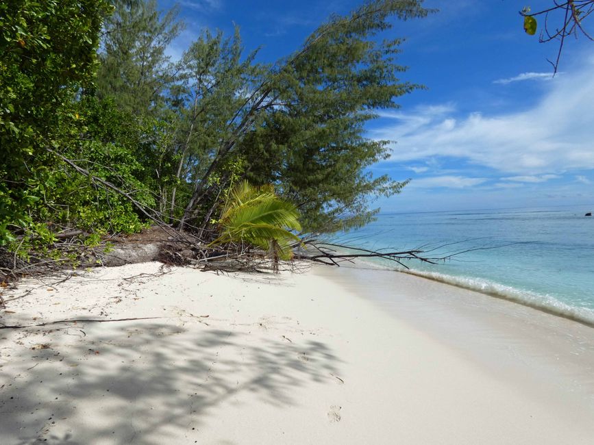 Conflict Islands