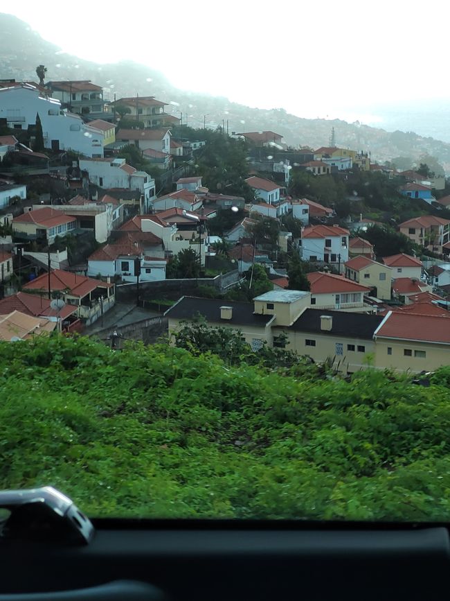 Panoramafahrt 