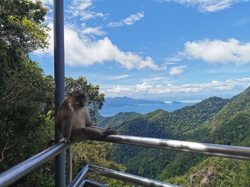 Abhängen und Seele baumeln lassen in Langkawi ...