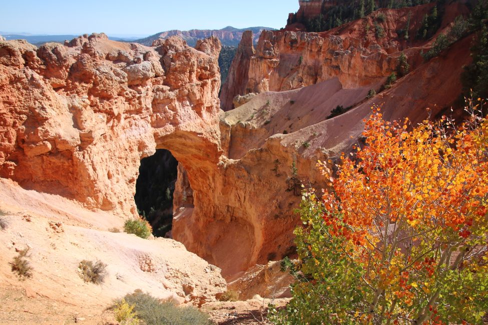 Natural Bridge