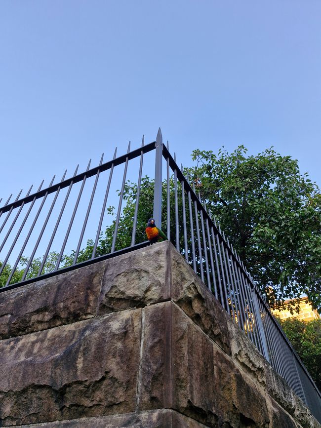 Hallo du Bunter Freund