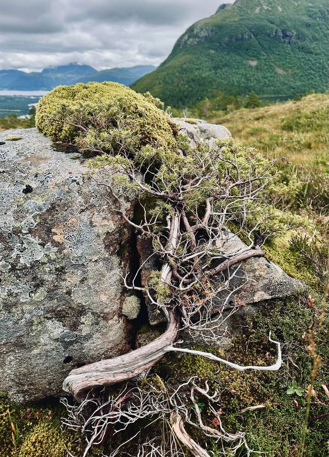 En la pista de los trolls: senderismo en Hustadvika