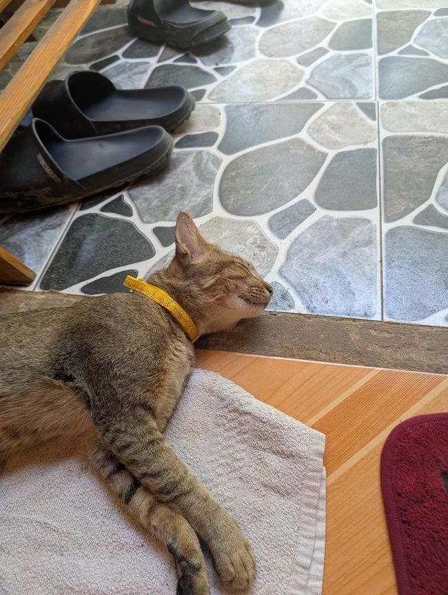 Eine ausgestreckte Hand am Fensterbrett