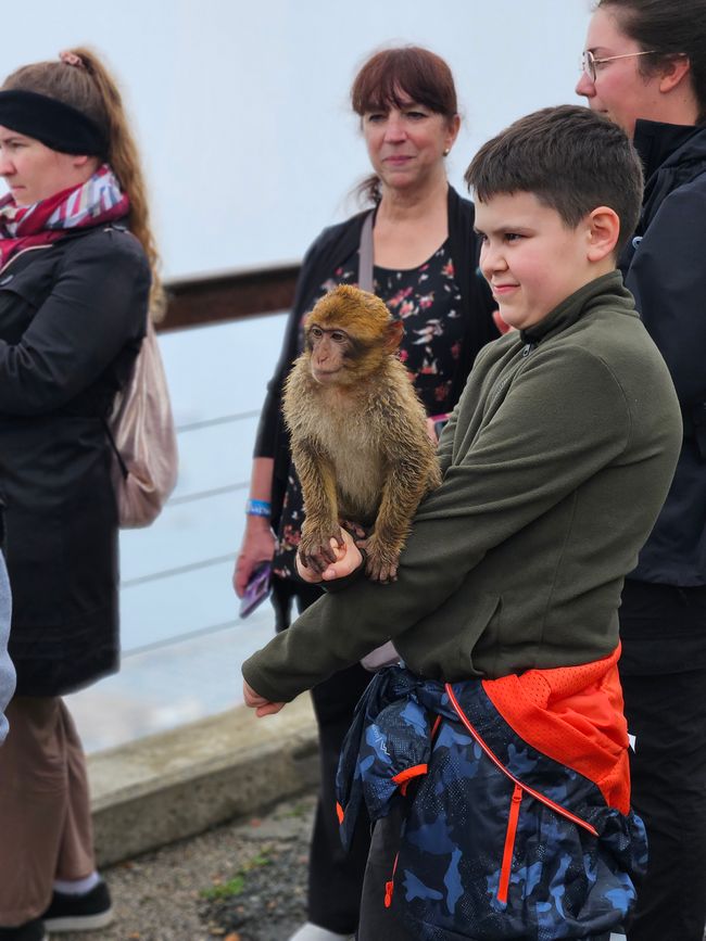 Bambino con macaco berbero