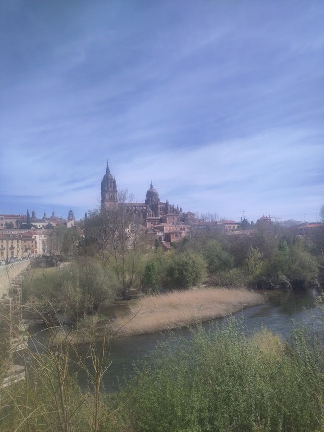 l'elegante Zamora romanica
