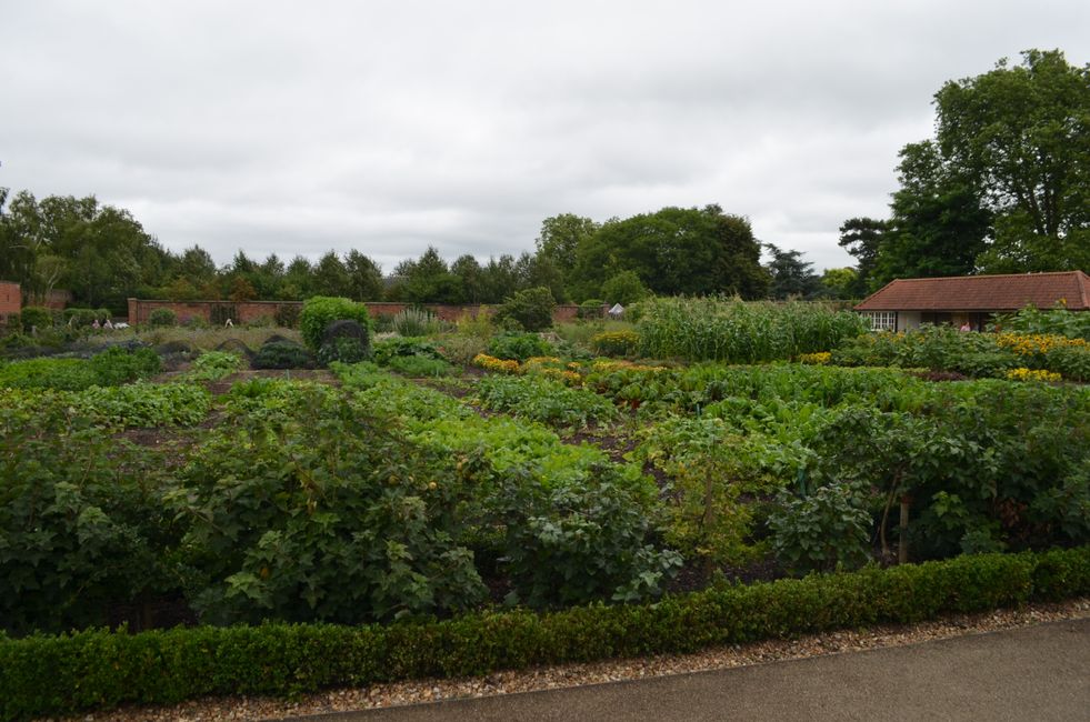 Palacio de Hampton Court