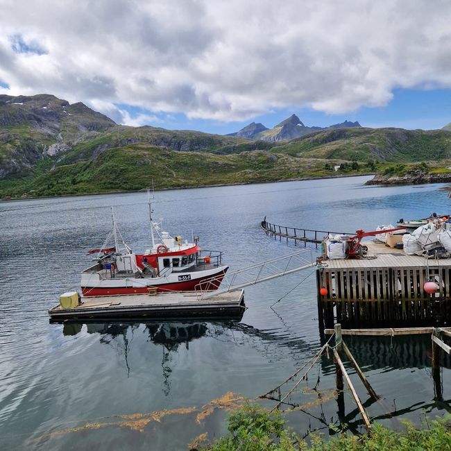 Lofoten