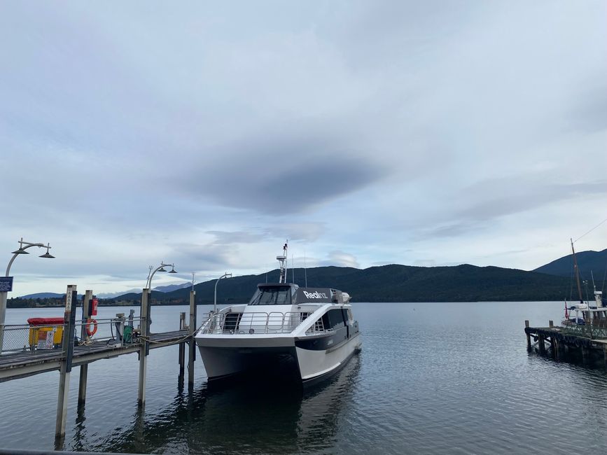 Among the glowing glowworms