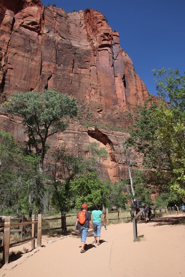 Hike in Zion Canyon