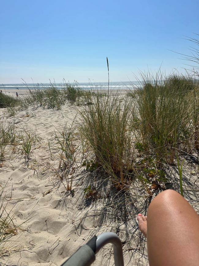 Oregon Parcific Beach