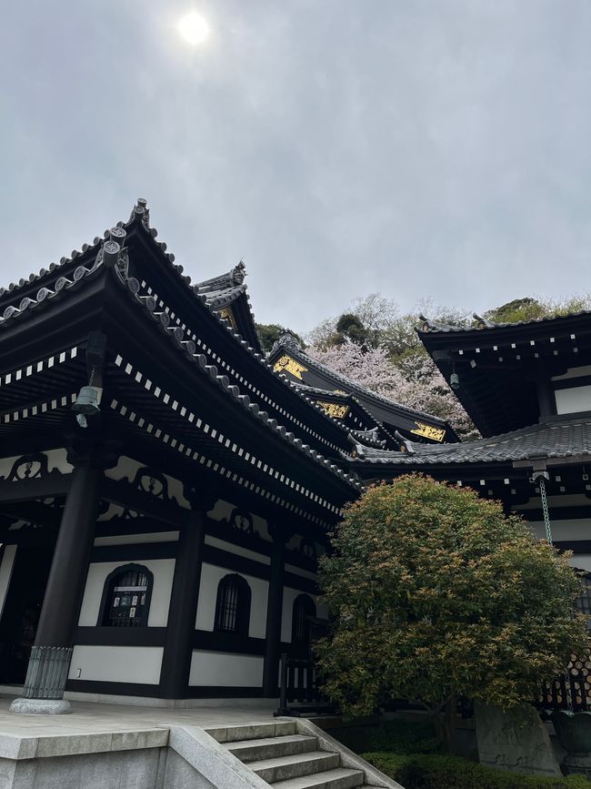 Hasedera-Tempel