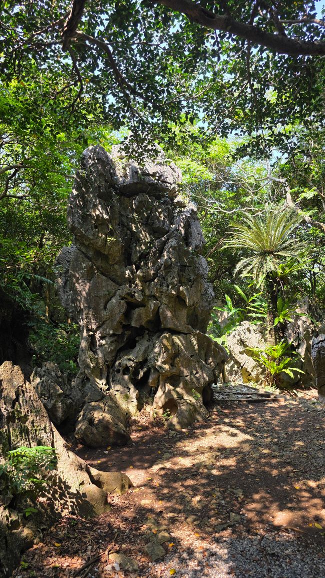 Okinawa Nuchi du takara (La vita è ciò che ci sta a cuore)