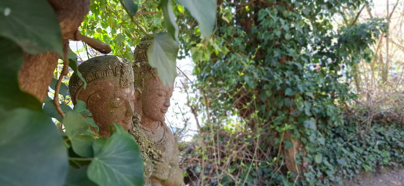 Wandern in Darmstadt 
