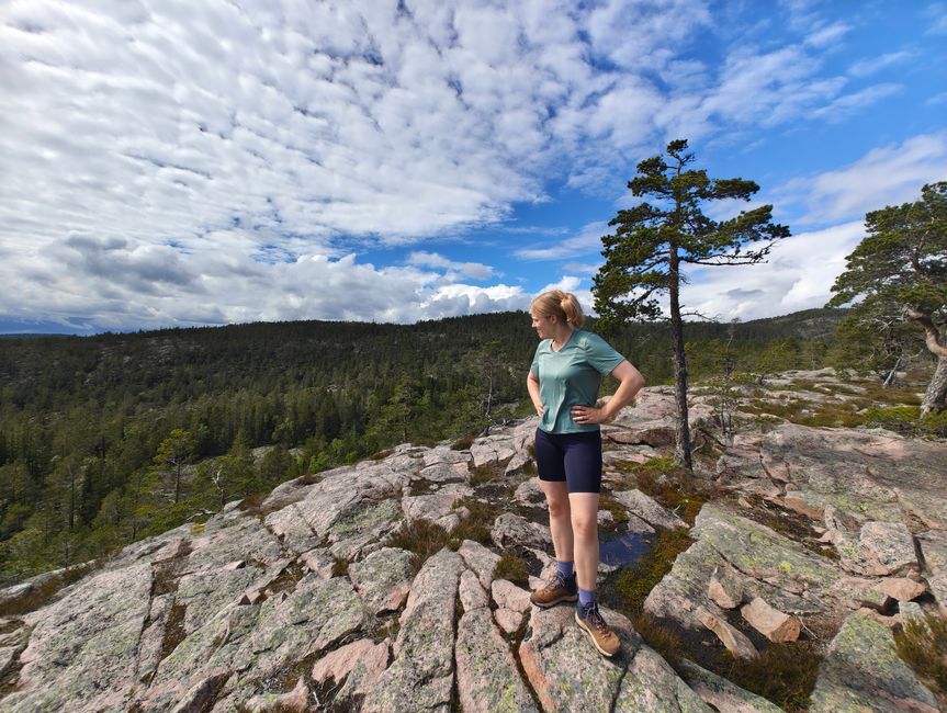 Parque Nacional Skoleskogens
