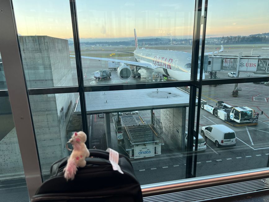 Abflug ins Abenteuer: Ursula, die Schere und ein großer Freund in Doha
