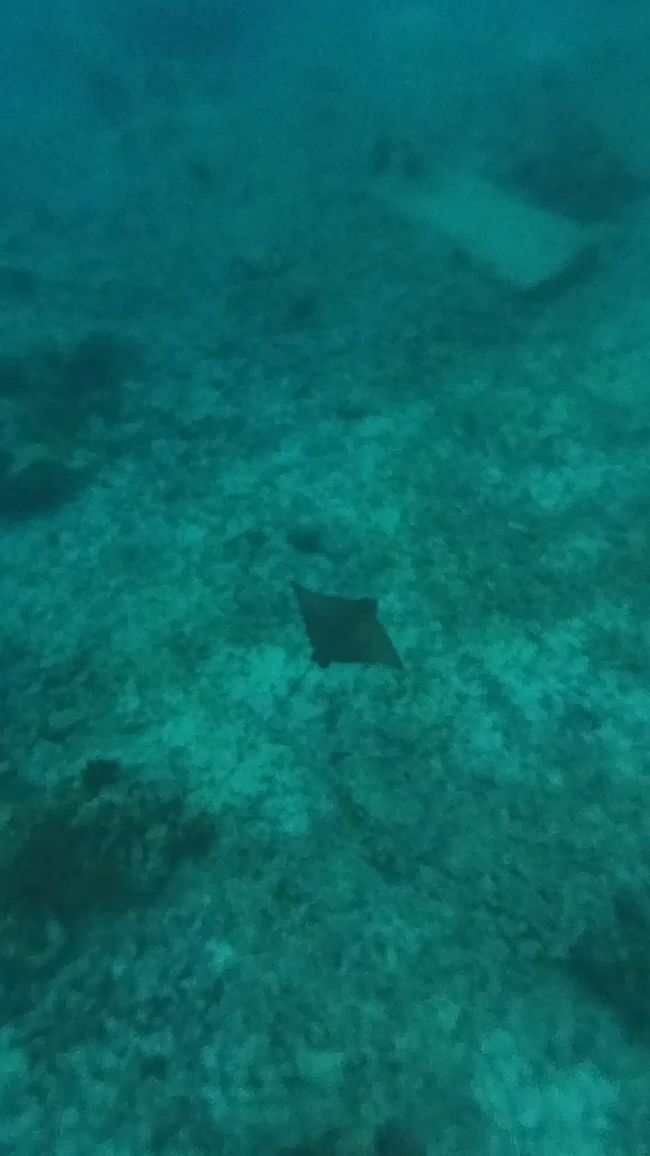 Seychellen - Tag 6: Die kleinste Hauptstadt der Welt - Victoria