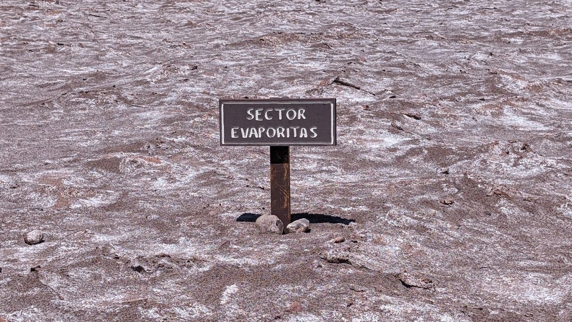 Valle de la Luna und Laguna Baltinache