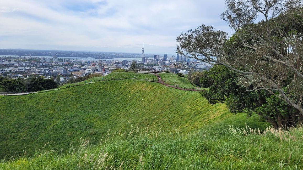 Thank the Maoris - We can visit Auckland