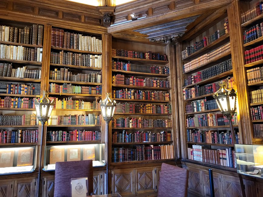 Bibliothek 
