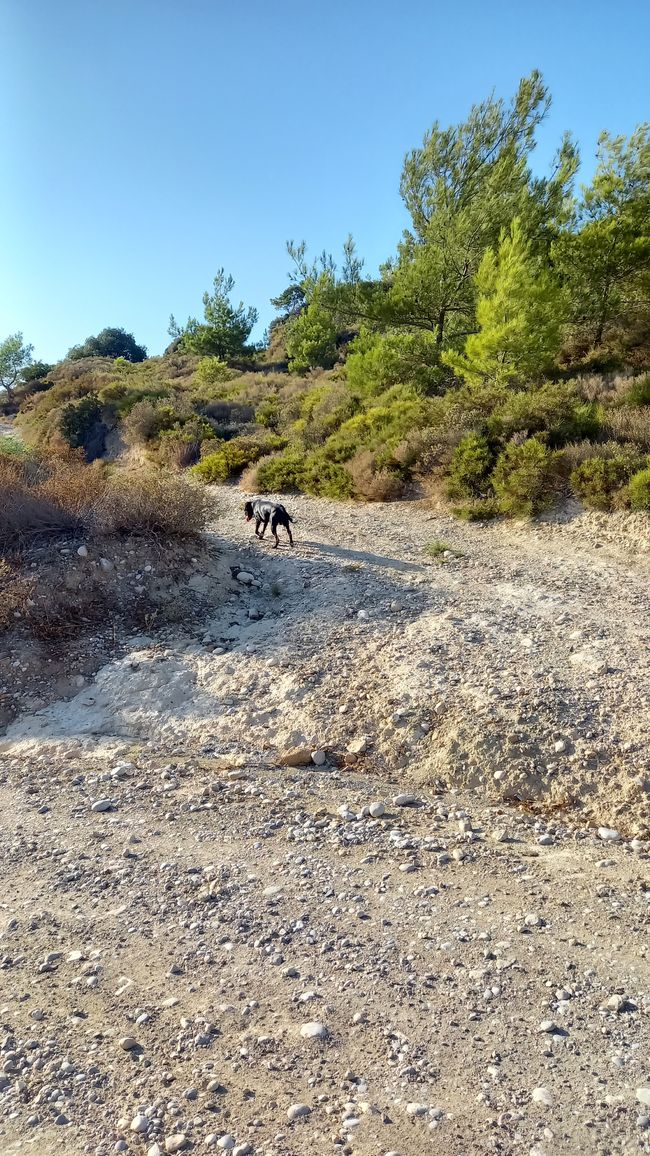 Kurztrip nach Rhodos 