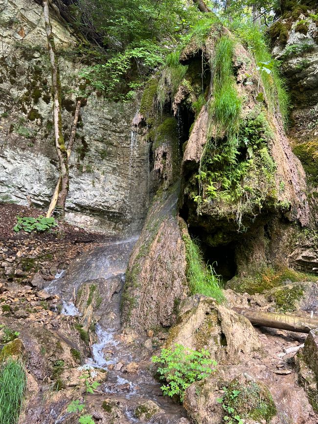 28 Wutachschlucht Pro Wolermoos
