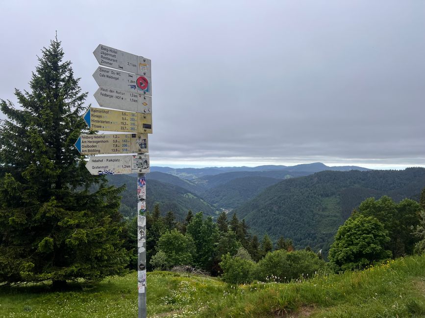 26 Feldbergsteig Escursione Pro Wolermoos