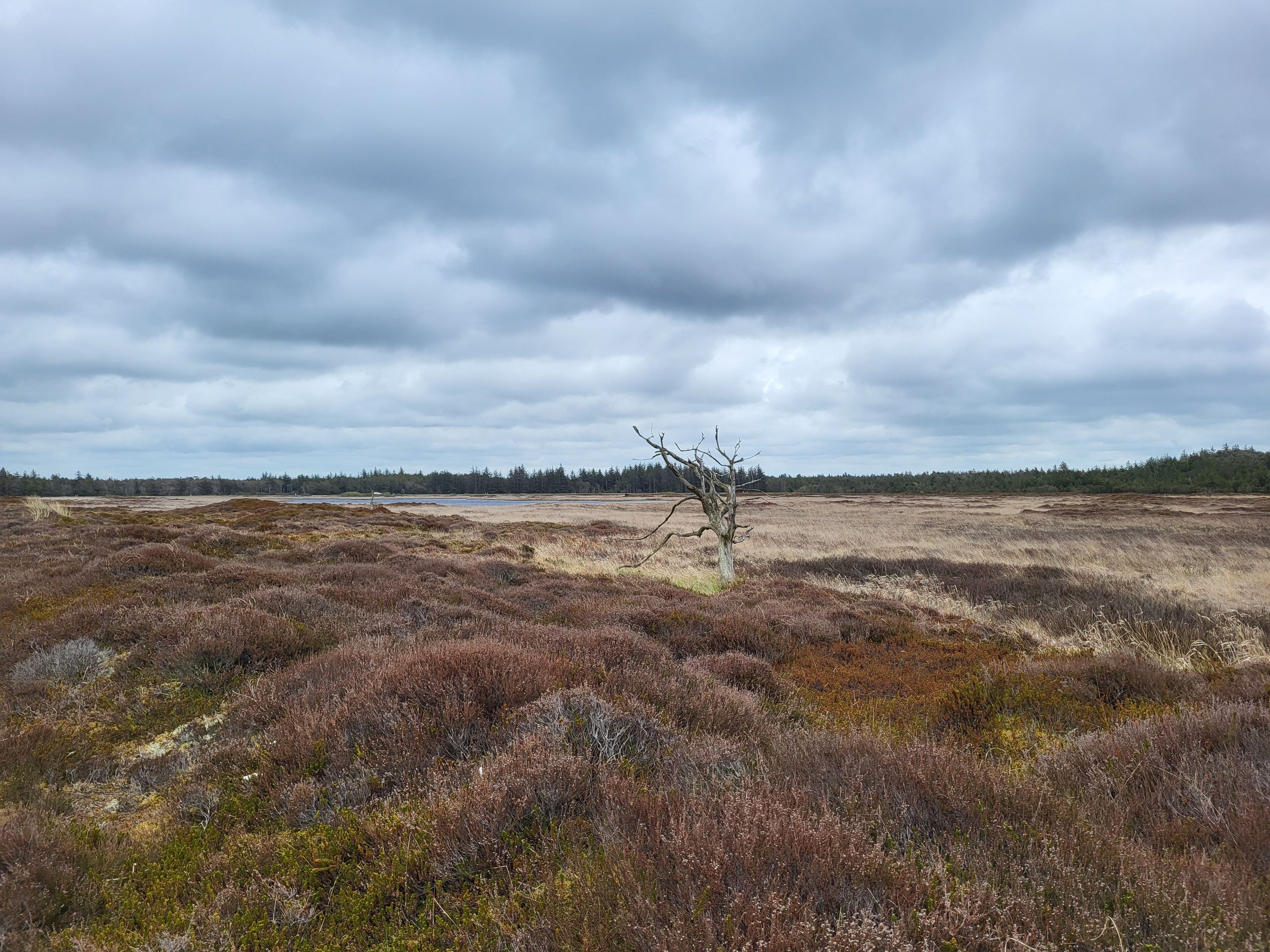 Thy National Park