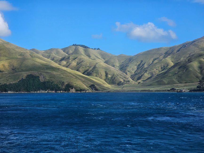 Fähre Queen Charlotte Sound
