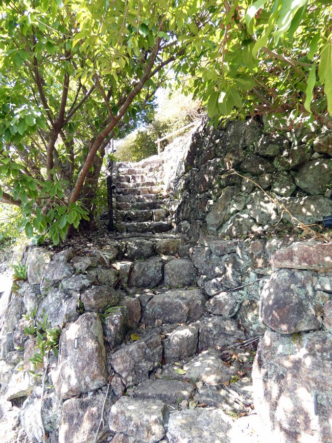 Makino Botanical Garden