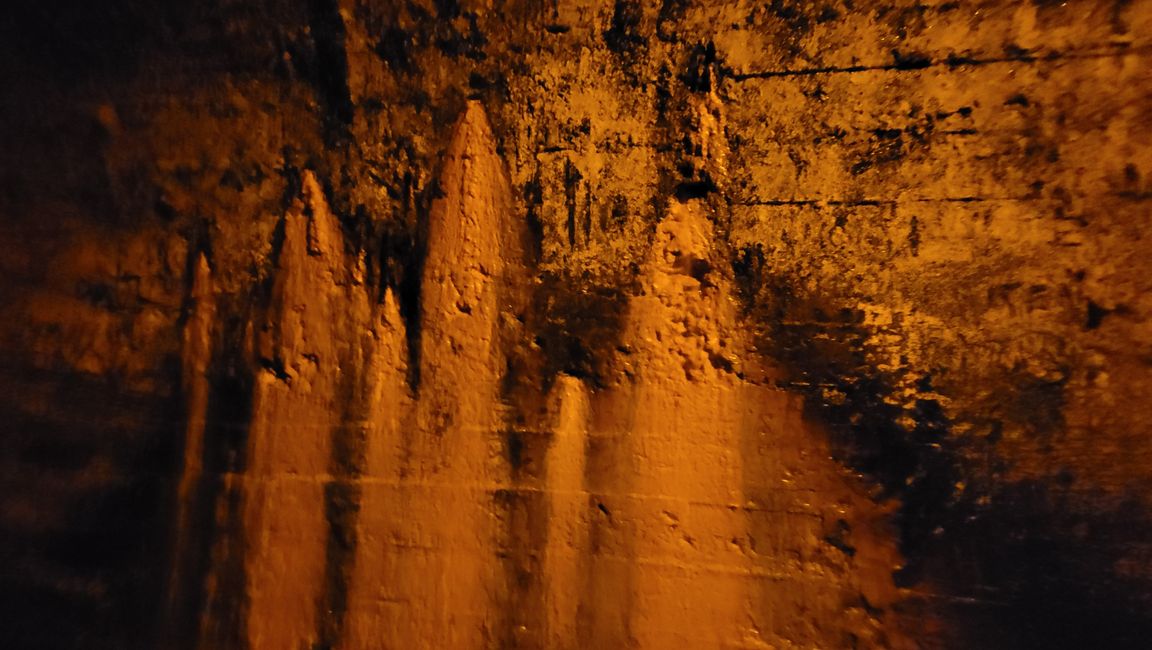 On the Trail of the Gold and Ore Mine in the Karangahake Gorge