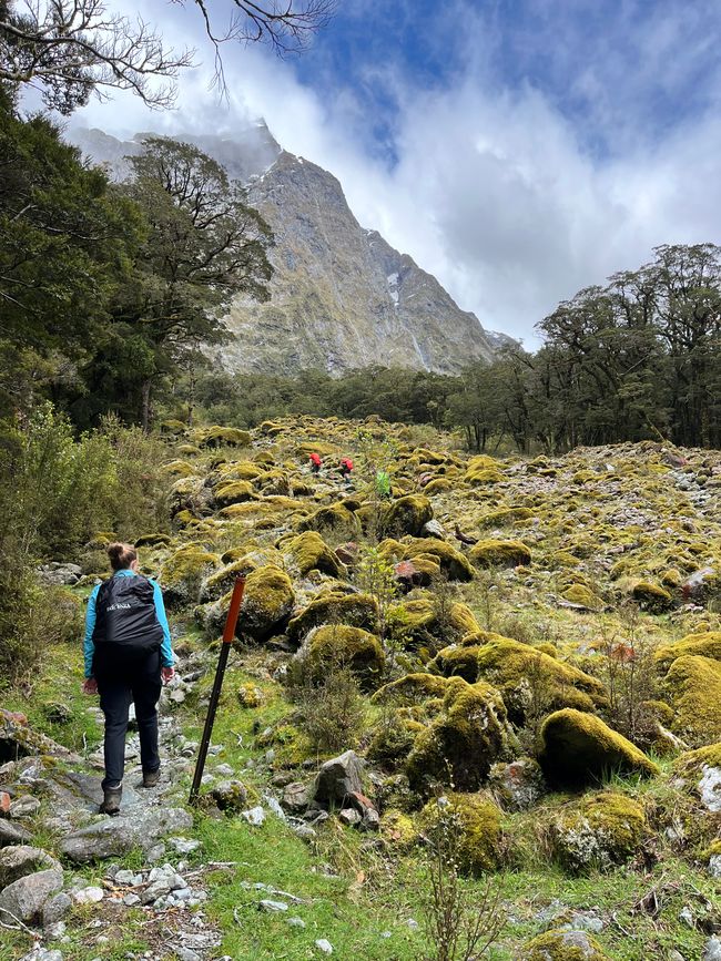 October 27, 2023 – Four days on the Milford Track
