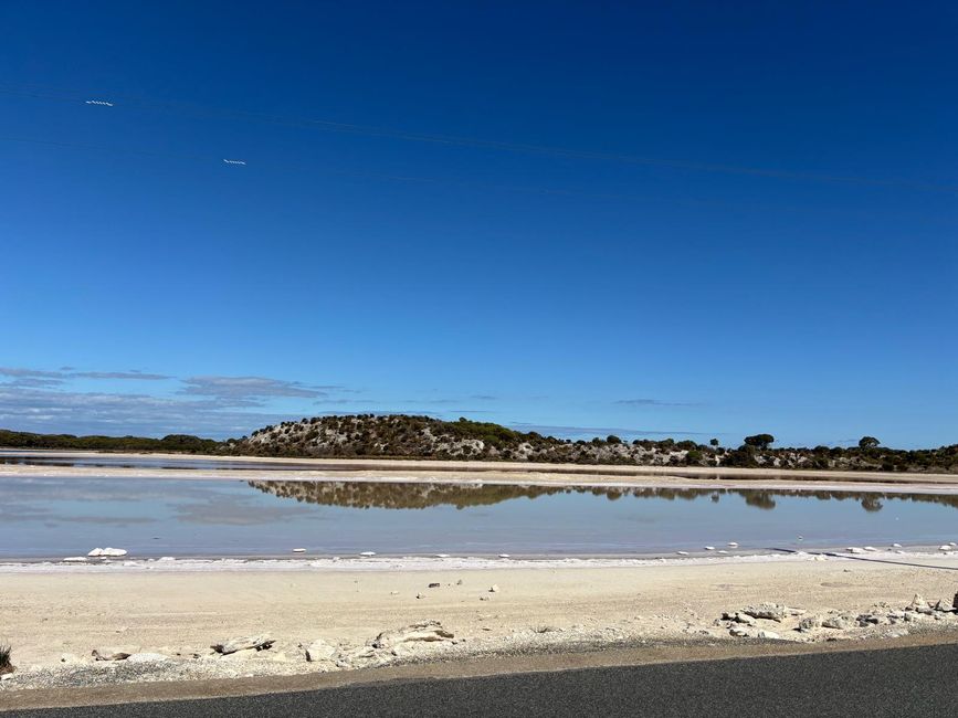 Rottnest Island