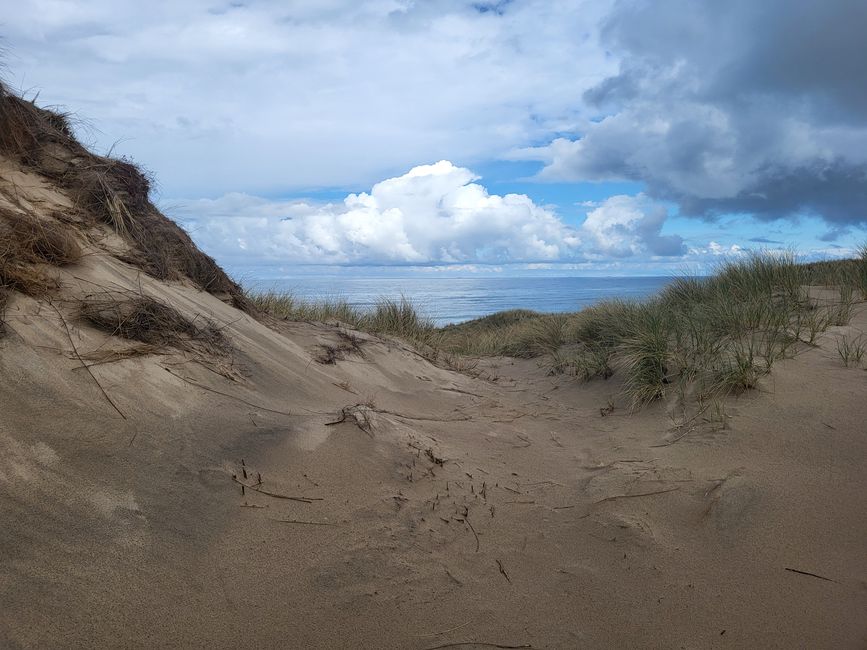 Wanderung beim Leuchtturm Lodbjerg