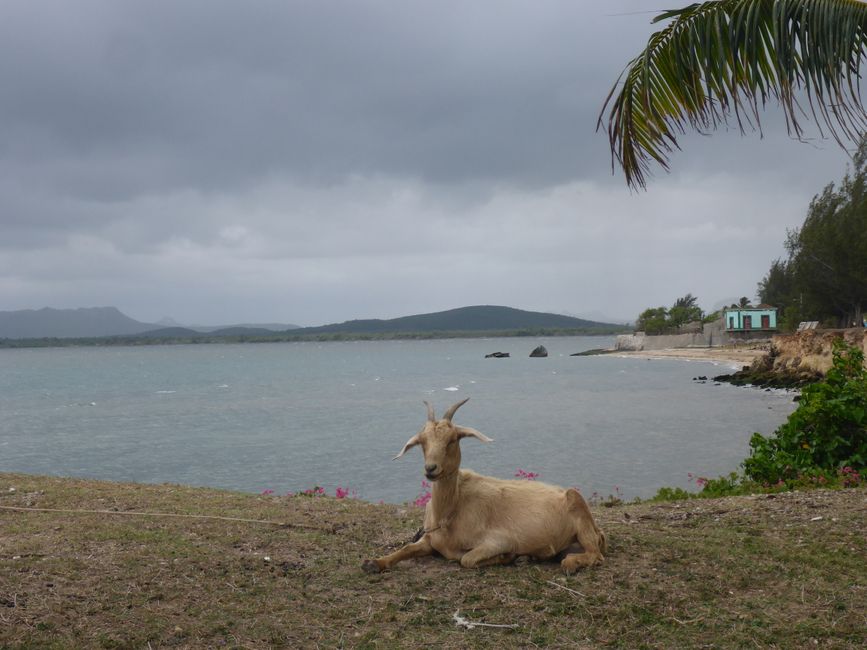 Cuba