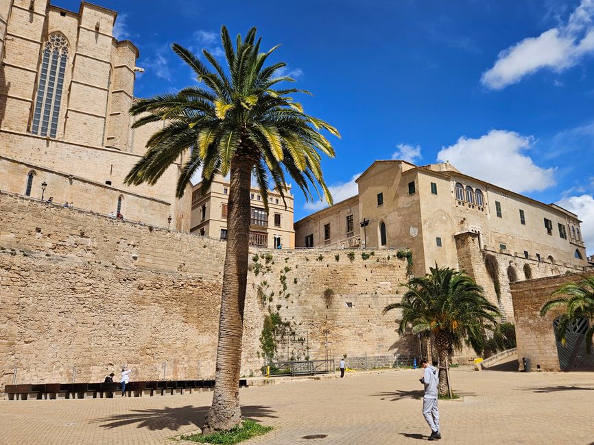 Palma di Maiorca