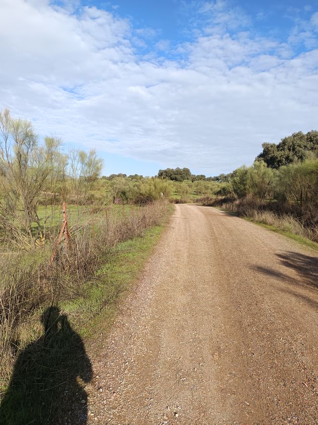 7. Stage 5 to Fuente de Cantos (45km)