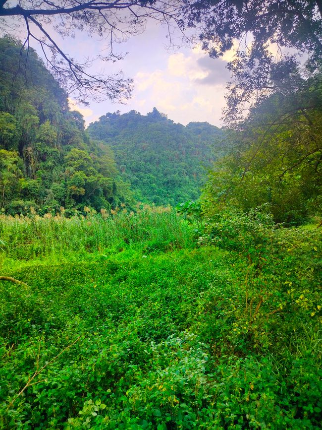 Ipoh