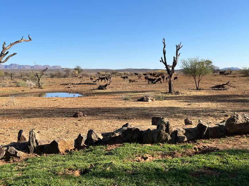 Richtung Windhoek