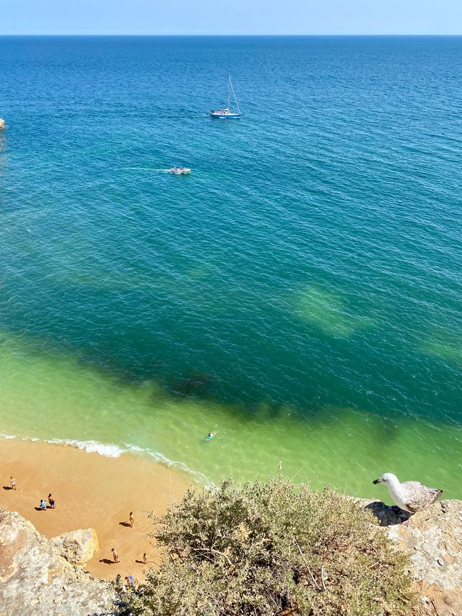 Here you can unfortunately clearly see the algae problem in the southern Algarve