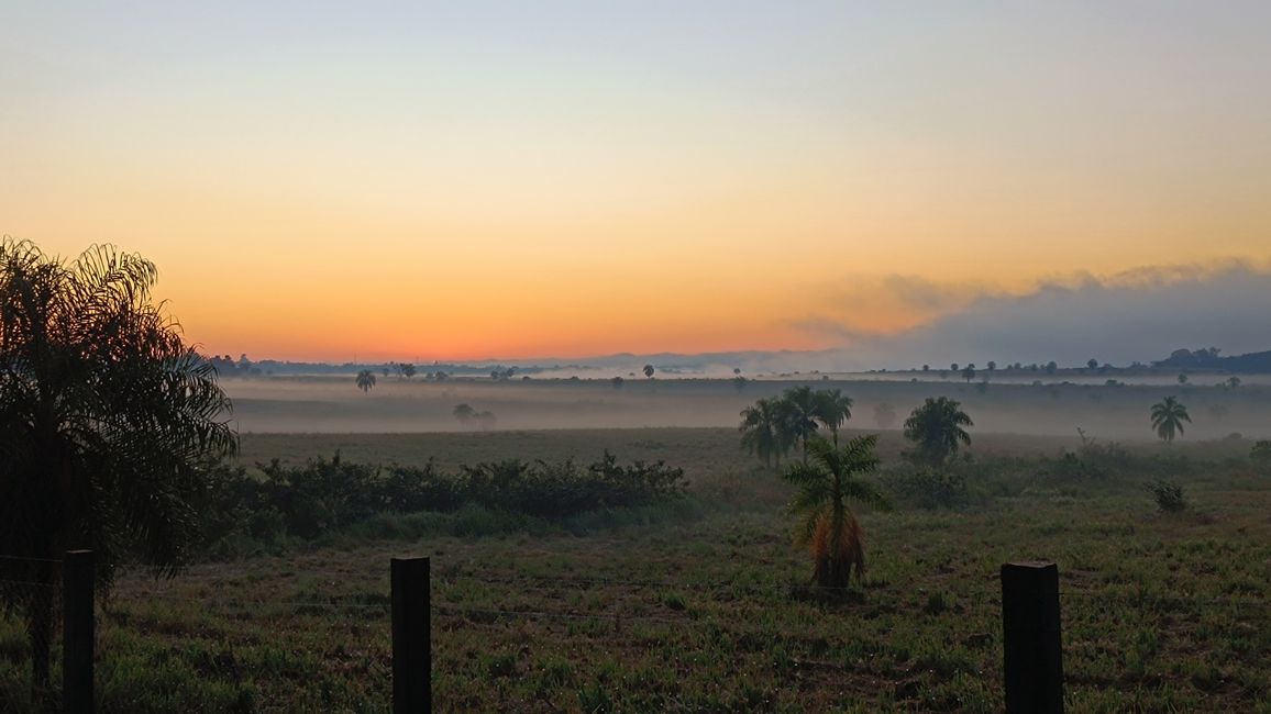 Encarnacion (Juli 2025)